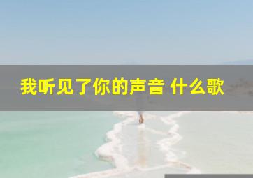 我听见了你的声音 什么歌